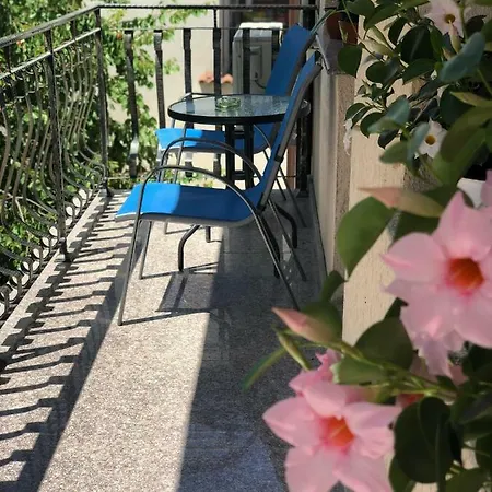 Seashells Mamaia Nord *