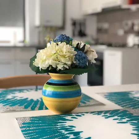 Seashells Mamaia Nord Navodari