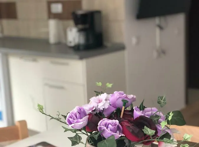 Seashells Mamaia Nord