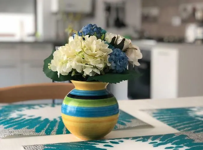 Seashells Mamaia Nord Năvodari